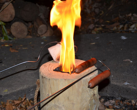 One Log Portable Fire